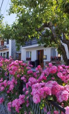"Cattus" studio apartman