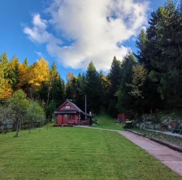 Chalet Woody