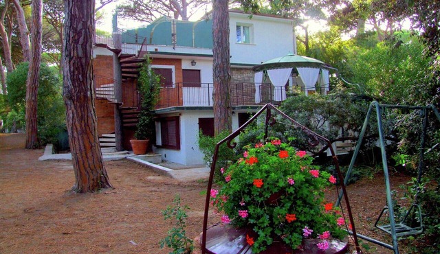 Charm in Castagneto Carducci