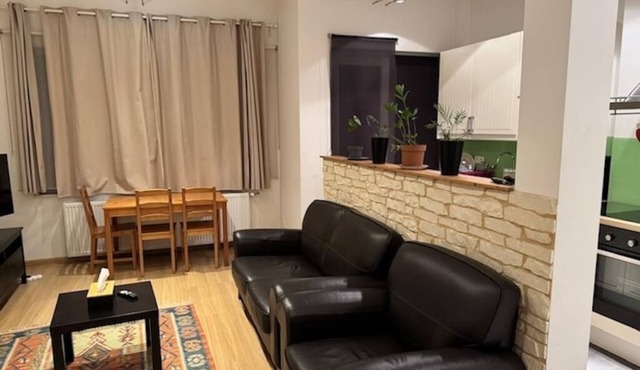 Charming 1 bedroom apartment in Bruxelles. Grand Place and Gallery Royal area.