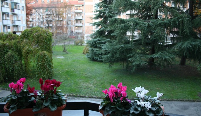 Comfortable apartment MM1 Uruguay
