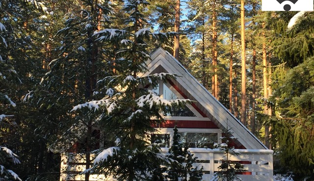 Comfortable holiday home with sauna in an idyllic forest location near a swimming lake, up to 6 p.