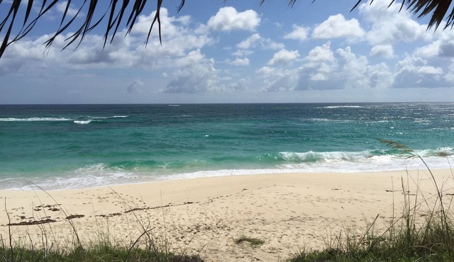 Condo w/Views, Beach, Htd Pool, Pickleball, Golf Cart, Gym,Walk to Restaurant