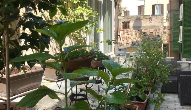 Count Checco. A heaven in the rooftops of Rome few steps away from the pantheon