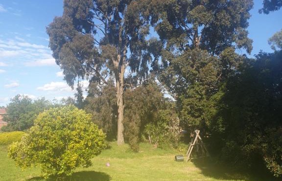 Country breeze