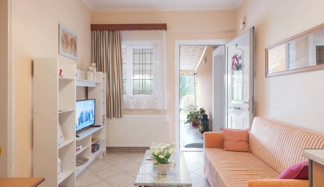 Cozy Apartment w/swimming pool in olive garden in Corfu