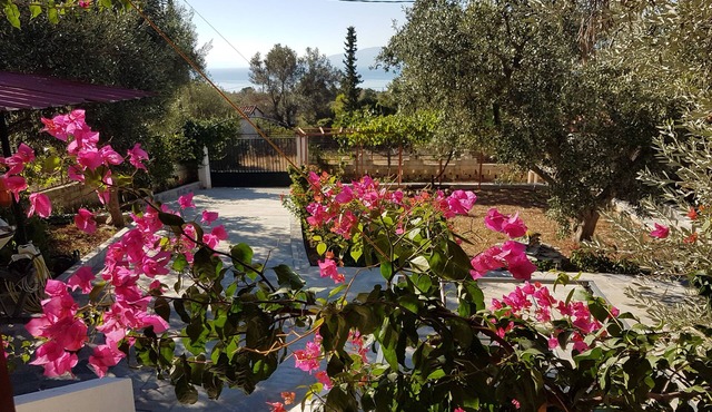 Cozy vacation apartment Panorama1