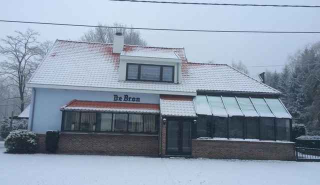 de bron
