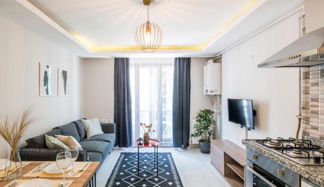 Deluxe One Bedroom Apartment near Galataport 5