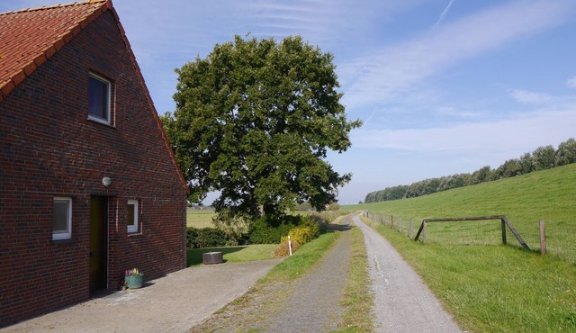 Dike house with a view