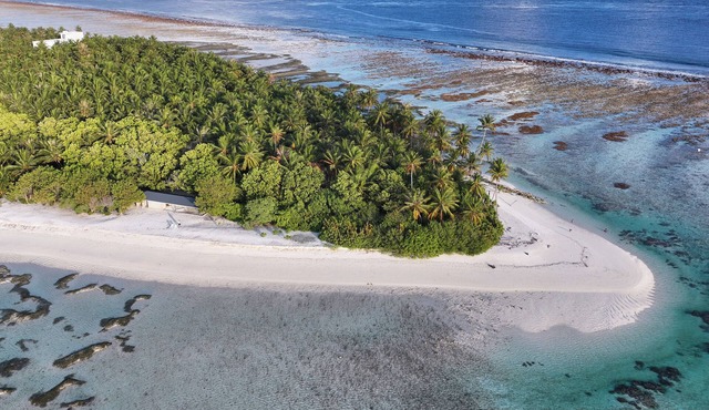 Dive and Sleep - All Inclusive Diving Guesthouse - 3 Dives per day