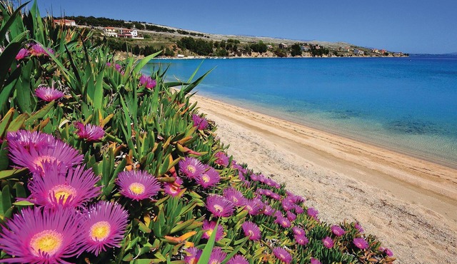Do you fancy a relaxing vacation in Croatia with a fantastic view of the sea.