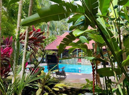 Eco Zaru, Experience Authentic Costa Rican Jungle & Ocean Bliss