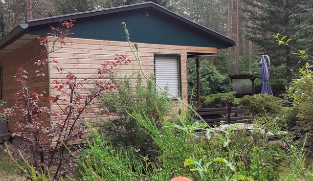 Ferienhaus Waldoase für 2 - 3 Personen, Freistehend auf Eingezäuntem Grundstück
