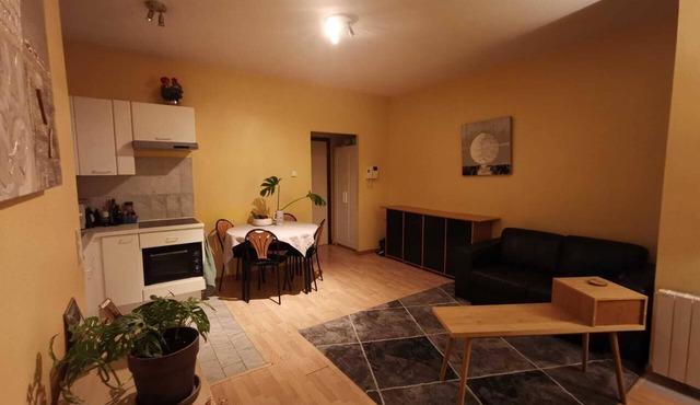 Flat to let Brussels center near metro Schuman