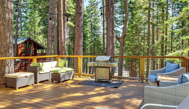 Forest-View Haven w/Game Room: Tahoe City Gem!