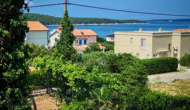 Gorgeous apartment in Barbat with house sea view
