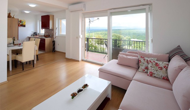 Grand apartment Luka