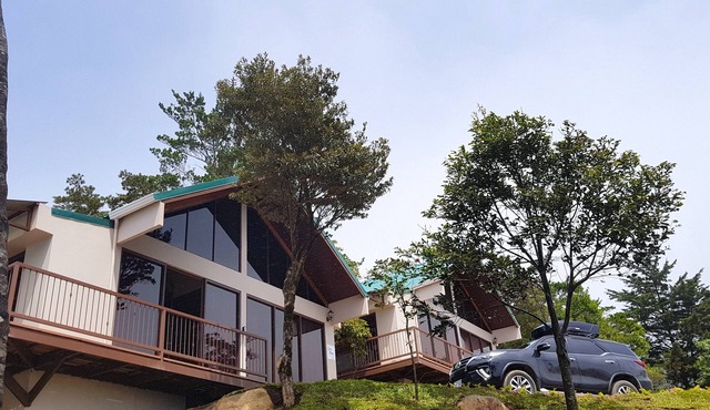 Green Forest Vacations Homes