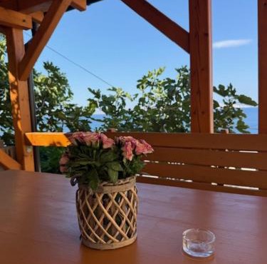Guest House Iva