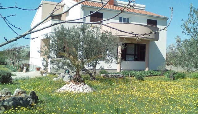 Holiday apartment Gornje Selo for 1 - 4 persons with 2 bedrooms - Holiday apartment in one or multi-
