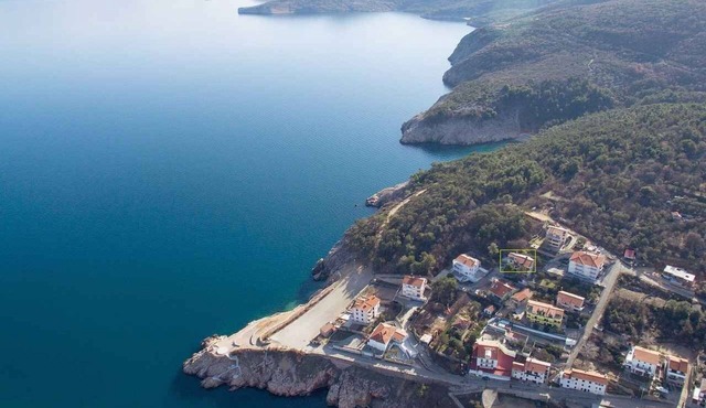 Holiday apartment near the beach and forest