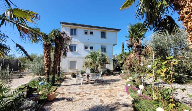 Holiday flat with balcony and barbecue