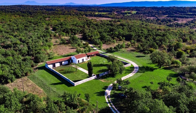 Holiday home "GreenSky"