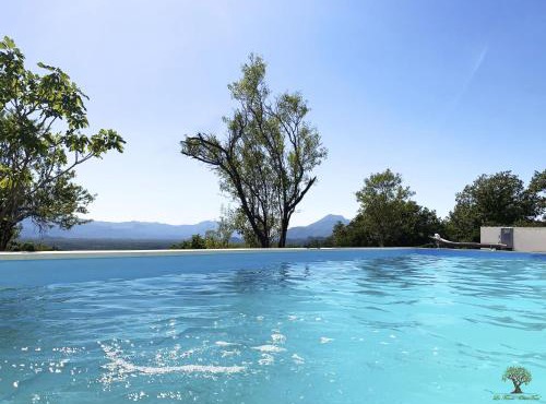 Holiday Home La Finca OliveTree by Interhome