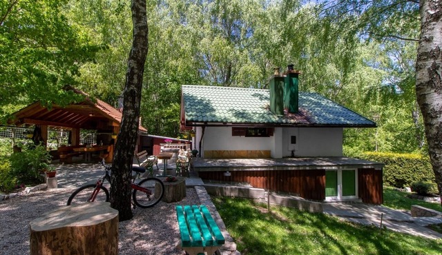 Holiday house with a swimming pool Breze (Novi Vinodolski) (K-20493)