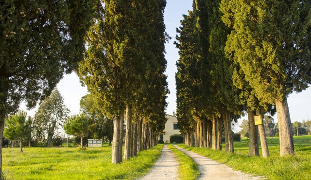 Holidays in Tuscany with family