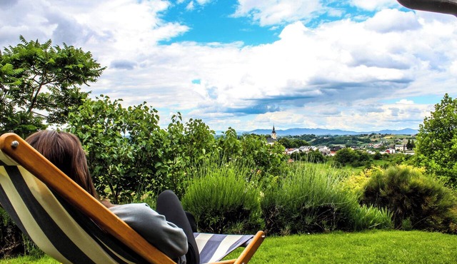 House for couples and families with jacuzzi, sauna, barbecue, and nature views