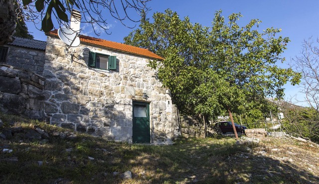 House Gordana (41271-K1) - Gata