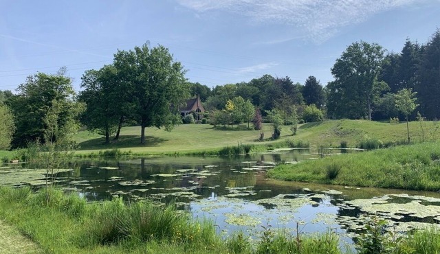 House in the middle of a landscape (tennis pool)