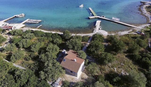 House Viola (23721-K1) - Zizanj - island Zizanj