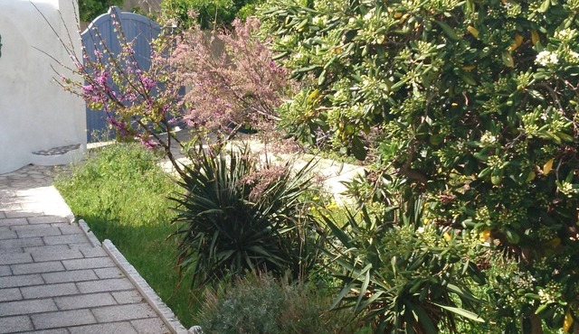In picturesque Malmousque area, 2 minutes from the sea near the ideal center for 2 people