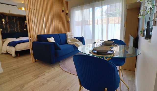 L'Ecrin Bleu - new studio house (4 pers) - garden & air conditioning