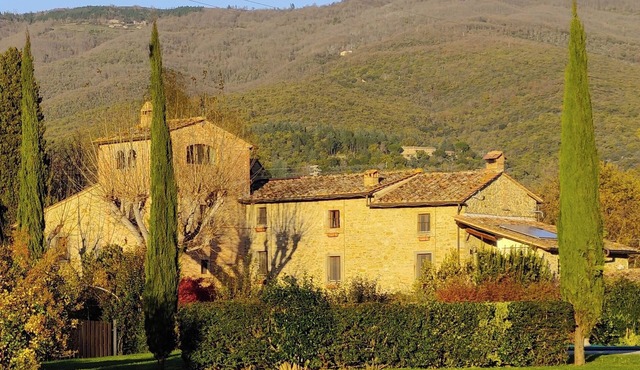 Large country apartment in Cortona 1bed1bath with shared pool & gorgeous gardens