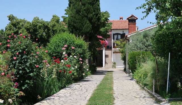 Lovely apartment for 8 guests with A/C, WIFI, terrace and pets allowed