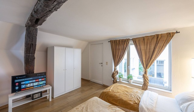 Luminous Suite In Brussels - Elegant Design