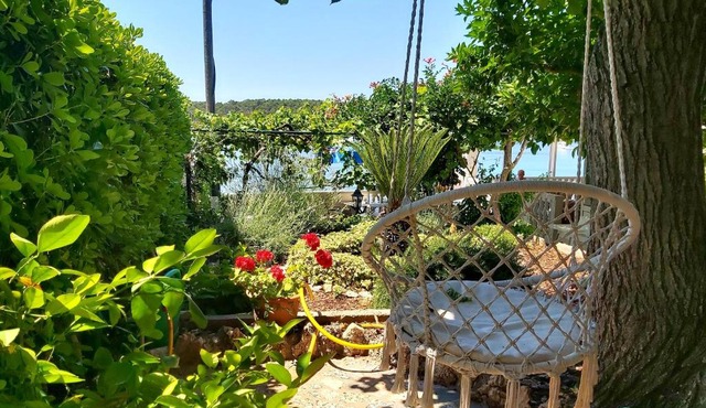 Meduza B&b
