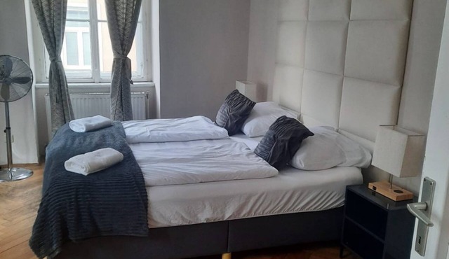 Metropolitan Charm: Stylish 2+1 Apt@ Vienna's Core