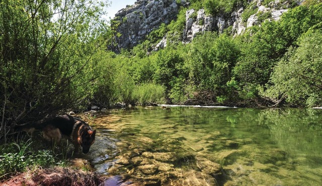 Near the river Cetina awaits you this practical cottage with vegetable garden.