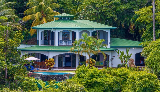 Newly Listed Marvelous Jungle Oasis with Ocean Views