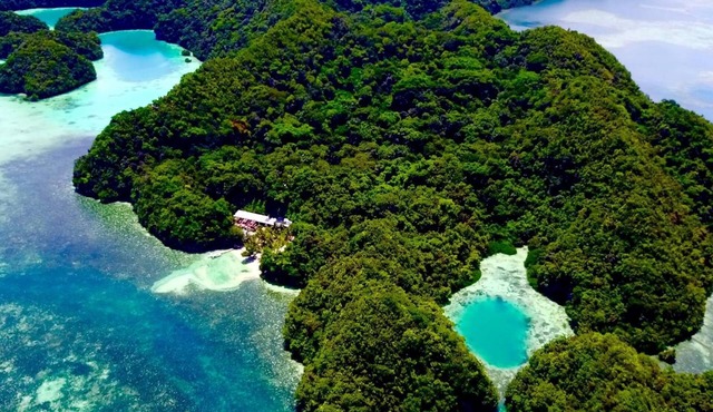 Ngellil Nature Island Resort