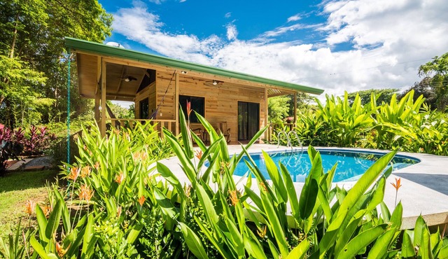 Ocean Melody 2 - Fully Equipped, Walking Distance from Beaches, Garden and Pool!