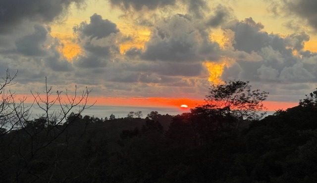 Ocean View, tranquil, 2-bedroom house, with pool, tucked in the rainforest.