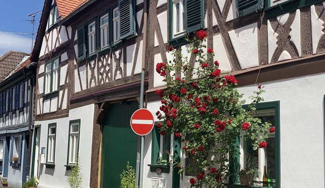 Old town happiness Seligenstadt - frameworkhouse