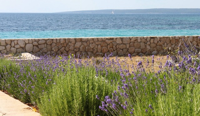One bedroom apartment near beach Lun, Pag (A-3320-c)