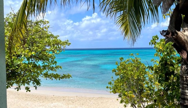 Osprey Beach Hotel